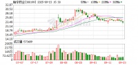 消息稱世衛(wèi)組織計(jì)劃首次正式推薦減肥藥物治療成人肥胖癥，機(jī)構(gòu)看好減肥藥滲透率不斷提