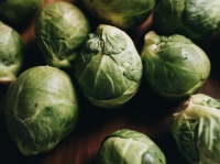 海苔能減肥？營養(yǎng)科揭秘熱量與配料真相