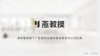 13 載砥礪，燕教授憑產(chǎn)品、創(chuàng)新、品牌如何彎道超車？