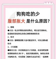 狗狗飽食定時定量定點喂養(yǎng)的好處（科學喂養(yǎng)讓寵物狗健康快樂生活）
