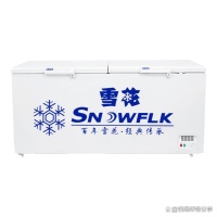 商用冰柜哪個牌子好用又耐用？精選十款大容量冷柜推薦