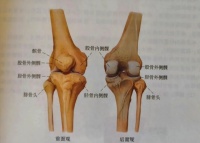 走路膝蓋突然“軟”一下？或許是這些疾病的信號(hào)