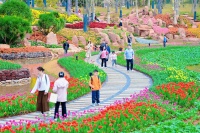 運(yùn)動(dòng)健康過大年 體育旅游新玩法——我市獲評(píng)2條廣西春節(jié)假期戶外運(yùn)動(dòng)精品線路