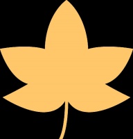 網(wǎng)紅藥物的健康風(fēng)險：安安的險境與反思