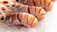 冷凍食品營養(yǎng)也不低——人民政協(xié)網(wǎng)