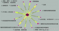 肌肉疲勞、睡眠質(zhì)量差、精神萎靡？來試試