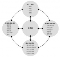 科學(xué)減肥策略：運(yùn)動(dòng)處方與飲食控制的結(jié)合