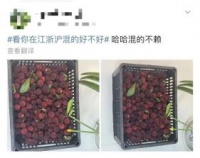夏季腹瀉高發(fā)，“偏方”楊梅止瀉，靠譜嗎？