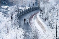 “冬天吃三瓜，中藥不用抓”大雪之后要多吃，健康過寒冬