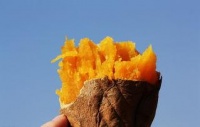 紅薯減肥食譜推薦及注意事項