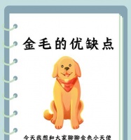 金毛幼犬的飲食注意事項(xiàng)（了解金毛幼犬的營(yíng)養(yǎng)需求，讓它健康成長(zhǎng)）