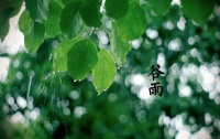 谷雨養(yǎng)生全攻略：健康飲食與情緒管理