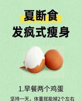 三伏天燃脂黃金期 輕斷食科學(xué)指南 甩肉不傷身