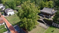 仙果寺1500歲銀杏，與這群人簽訂了長(zhǎng)效守護(hù)契約