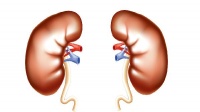 慢性腎炎可以進(jìn)行力量訓(xùn)練嗎
