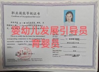 嬰幼兒發(fā)展引導(dǎo)員：育兒路上的專業(yè)助手