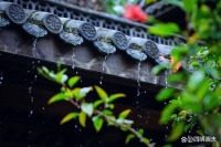 梅雨季如何防霉？避免霉菌對(duì)人體和物品的危害與損毀