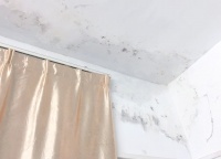 梅雨季節(jié)家居除濕防潮妙招，保護(hù)健康