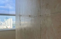 梅雨季，防霉防潮可以選擇這些