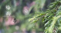 梅雨季如何防止墻面發(fā)霉？一定要看米素總結(jié)的這篇防霉除霉攻略