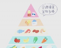 「健康生活指南」塑造卫生安全与绿色环保的生活方式