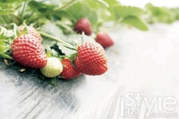 7家有機(jī)菜餐廳享受健康生活