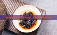 荷叶茶的功效和作用及禁忌：副作用与禁忌症一览