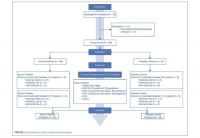 微生態(tài)視角下的兒童生長革命：BL-11 菌株如何重構(gòu)身高管理的技術(shù)與行業(yè)邏輯