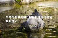 烏龜是怎么爬的？探秘慢速爬行的奧秘與技巧