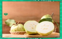 番石榴葉泡水的多重健康益處與制作方法