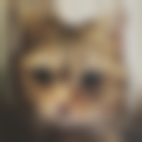 健康服務(wù)專員工作內(nèi)容