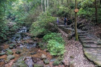 陽(yáng)明山徒步，不同路線自由選擇，戶外運(yùn)動(dòng)超健康！