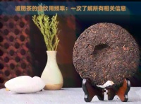 減肥茶的健飲用頻率：一次了解所有相關(guān)信息