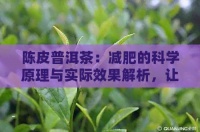 陳皮普洱茶：減肥的科學(xué)原理與實際效果解析，讓你了解它是否真的有效