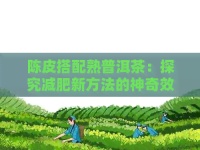 陳皮搭配熟普洱茶：探究減肥新方法的神奇效果