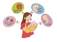 中華醫(yī)學(xué)會(huì) 科普?qǐng)D文 預(yù)防出生缺陷，生命健康啟航