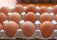 秋冬季吃啥減肥