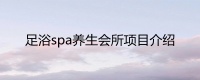 足浴spa养生会所项目介绍