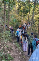 减肥减出了胆囊结石了，到底怎么减肥健康啊？