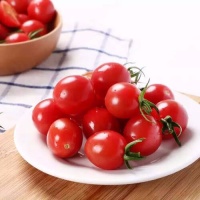 让每一餐都充满活力——新鲜圣女果的美味与健康之旅