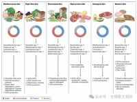 不同的饮食如何改变肠道微生物群并影响疾病易感性？