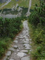 重庆8条徒步路线｜春天就应该多出来走动走动，偶遇鲜花治愈心灵