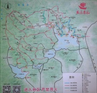 九龙湖健康步道：自然之美与户外徒步的理想之地