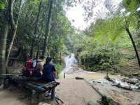 团风贾庙乡大崎山登山超健康，原始森林空气纯净，吸氧放松！