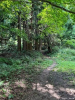 南京老山狮子岭徒步，森林氧吧洗肺，健康之旅推荐！