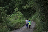 嶂山徒步，氧吧中的健康之旅！