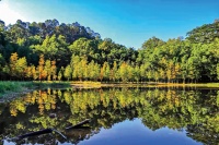 从古镇公园到美丽河湖，番禺区这两条徒步路线美丽又健康