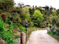 鹤壁鹤山区黄庙沟村，森林氧吧徒步，超健康！