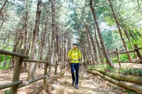 扬州山阳徒步，森林氧吧洗肺，健康之旅地！