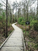 三台山森林氧吧徒步，超健康！